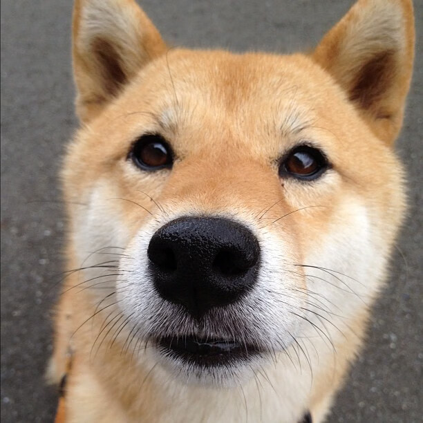 绝境之舞,命运之光,辛杜一锤定音,丹麦队上演不可能之逆转