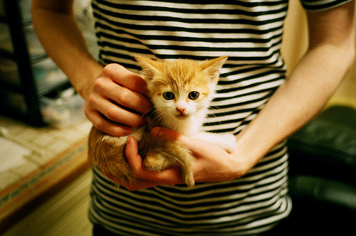 许昕带领中国队力克日本队,传奇之战背后的细节与情感