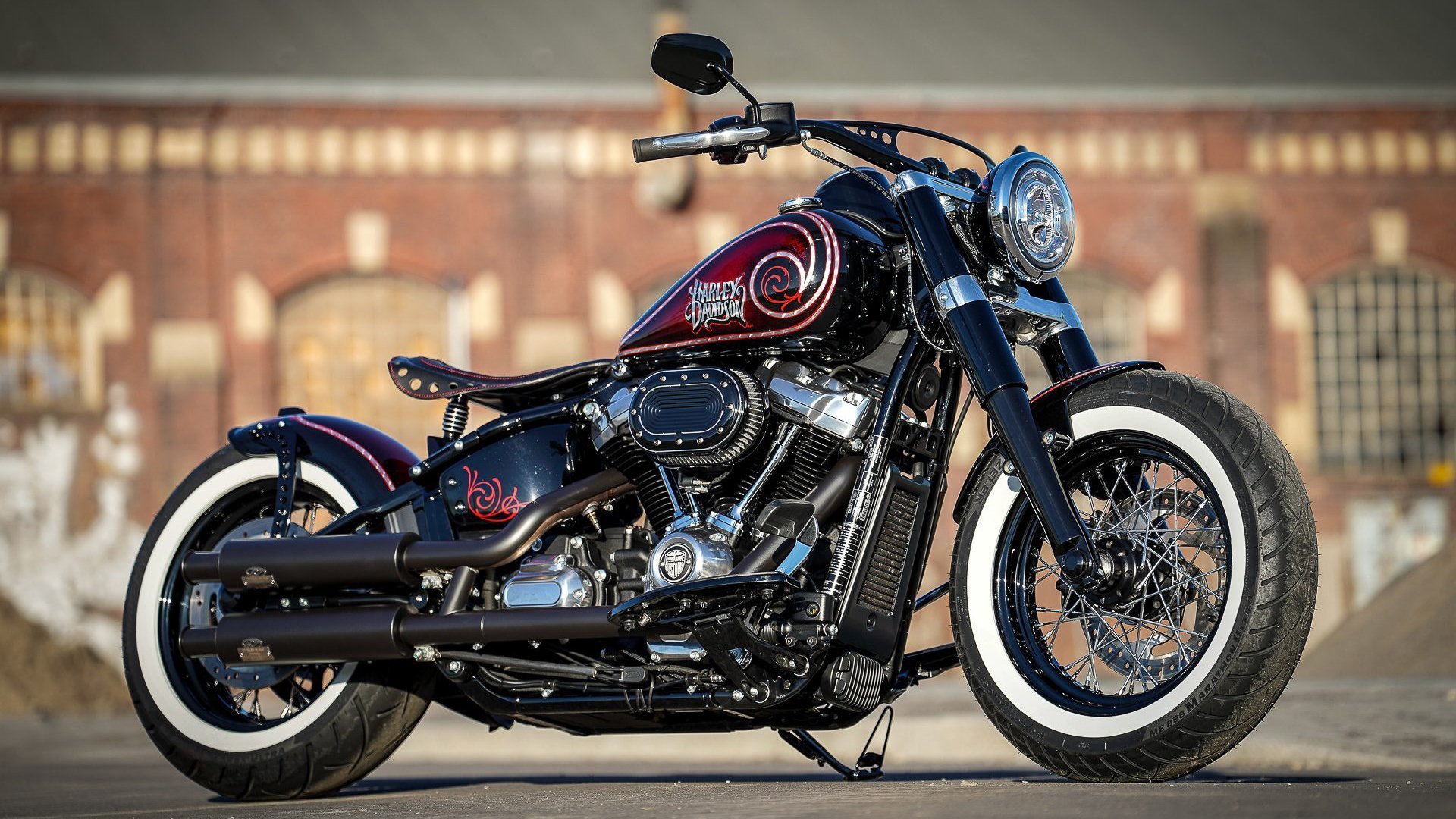 双面黄鸭,谦逊羽毛下藏着的印尼利刃