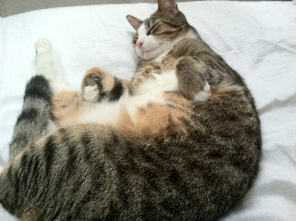 新世界碰撞旧王权，拉什福德双响助曼联3-0完胜巴西国家队