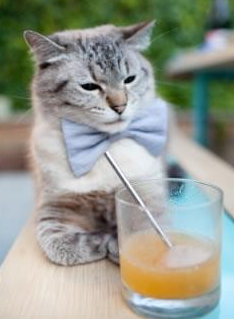 北境风暴席卷文艺复兴之城，阿拉巴末节20分率加拿大险胜佛罗伦萨