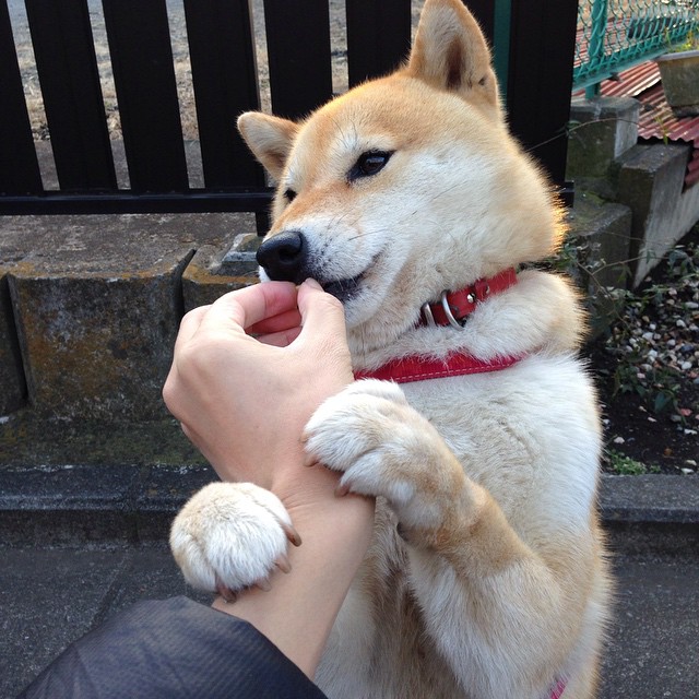 悬崖上的黄昏，埃及加时鏖战力克爱尔兰的史诗之战