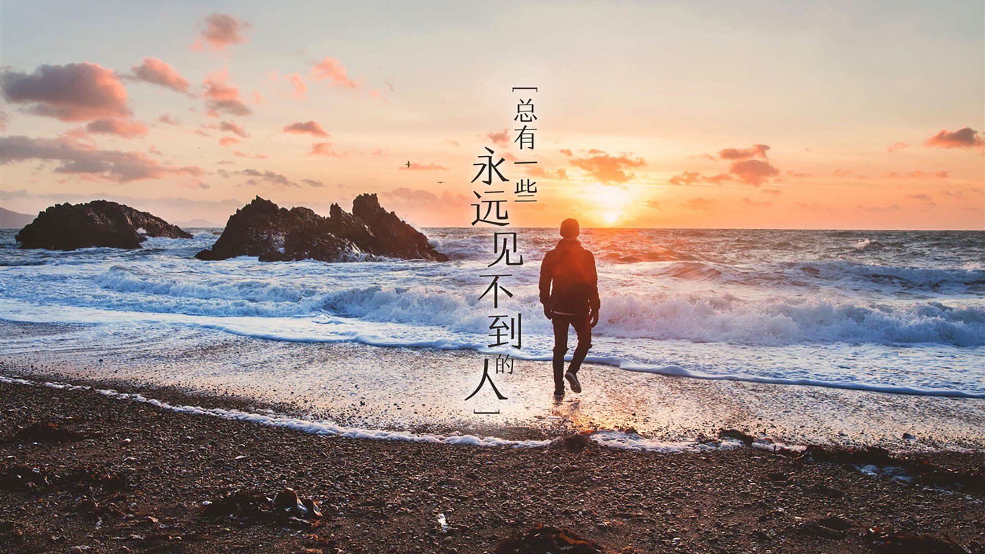 神迹还是世纪误植？魔术打穿辽宁队，塔图姆数据全面爆炸背后的双重现实