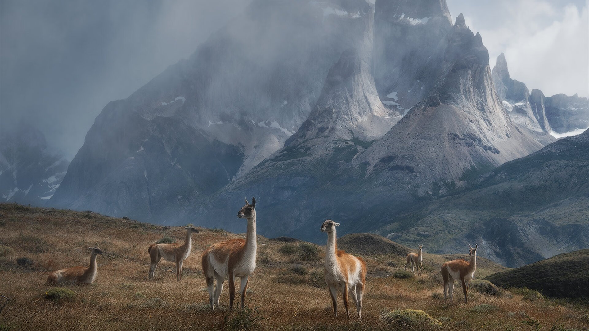 双重战场上的王者，西亚卡姆引领步行者淘汰76人，欧冠淘汰赛再显统治力