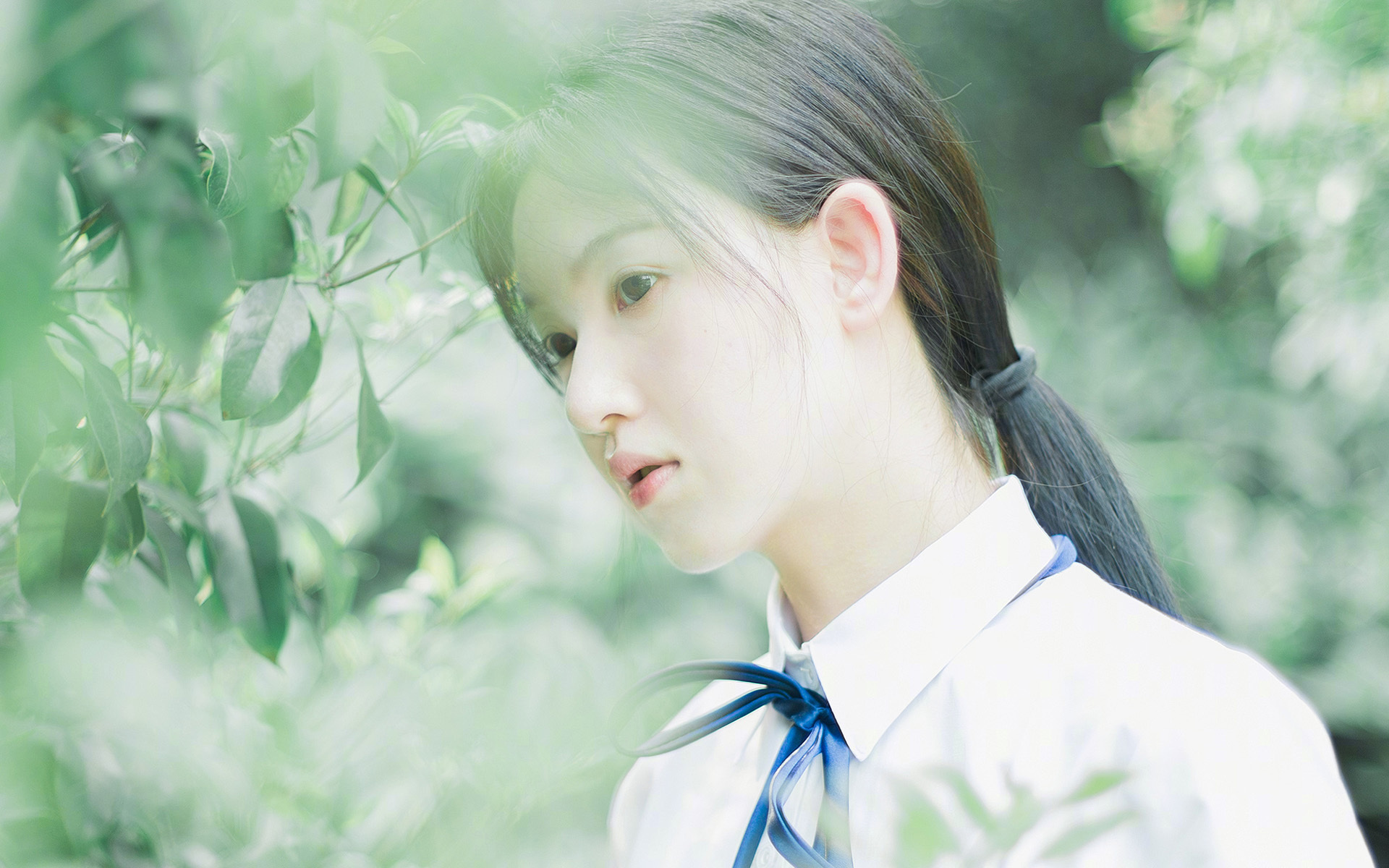 苏格兰的凛冬号角，一场击碎预期的强盗式胜利