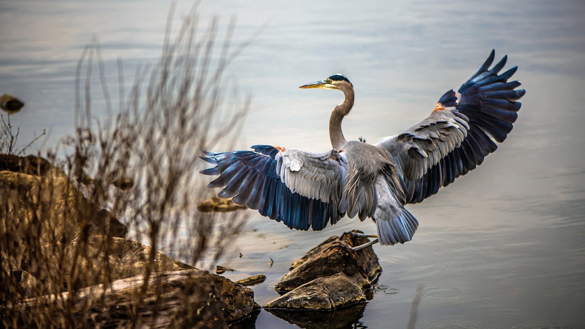 安菲尔德闪电战，红军单节风暴撕裂马赛，巴斯托尼式统治铸就完美之夜