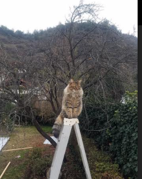 他的32分不是胜利，是篮球史上最华丽的易筋经，当公牛翻盘马刺在另一躯体上重生