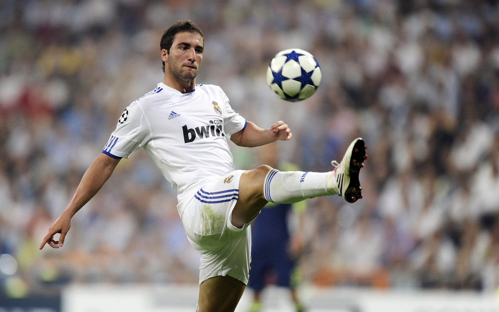 跨界烽烟，当广东宏远遇见字母哥的末节审判