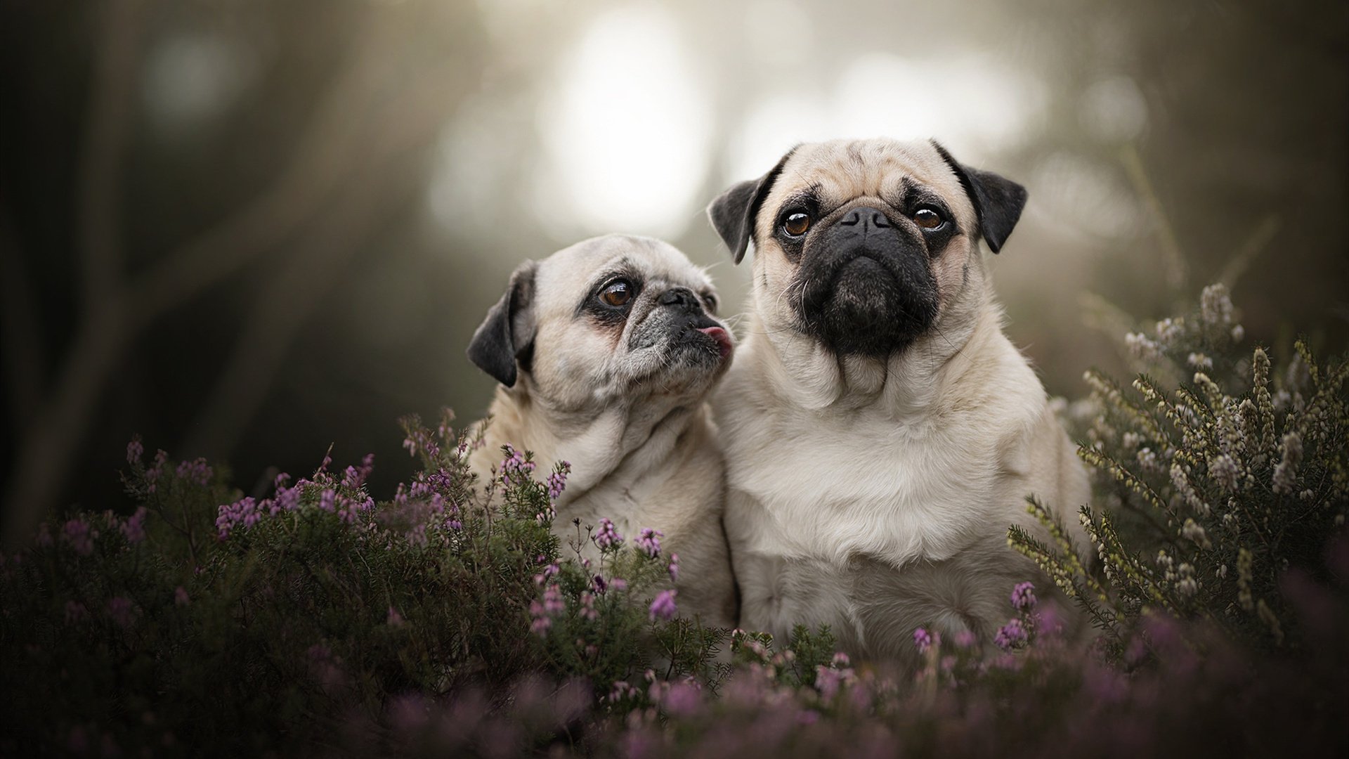 控制力与绝杀，当斯通斯的节奏感遭遇尤文的戏剧性
