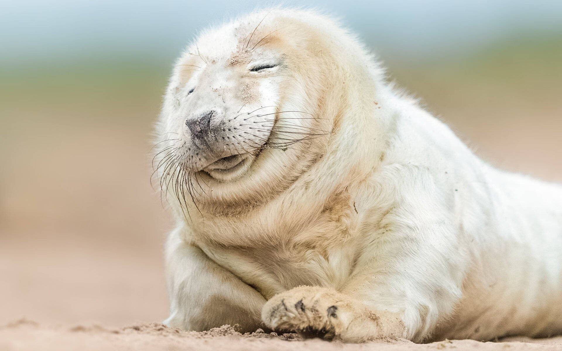 局外人—布伦森的沉默绞杀，与字母哥喧嚣之下的黄昏