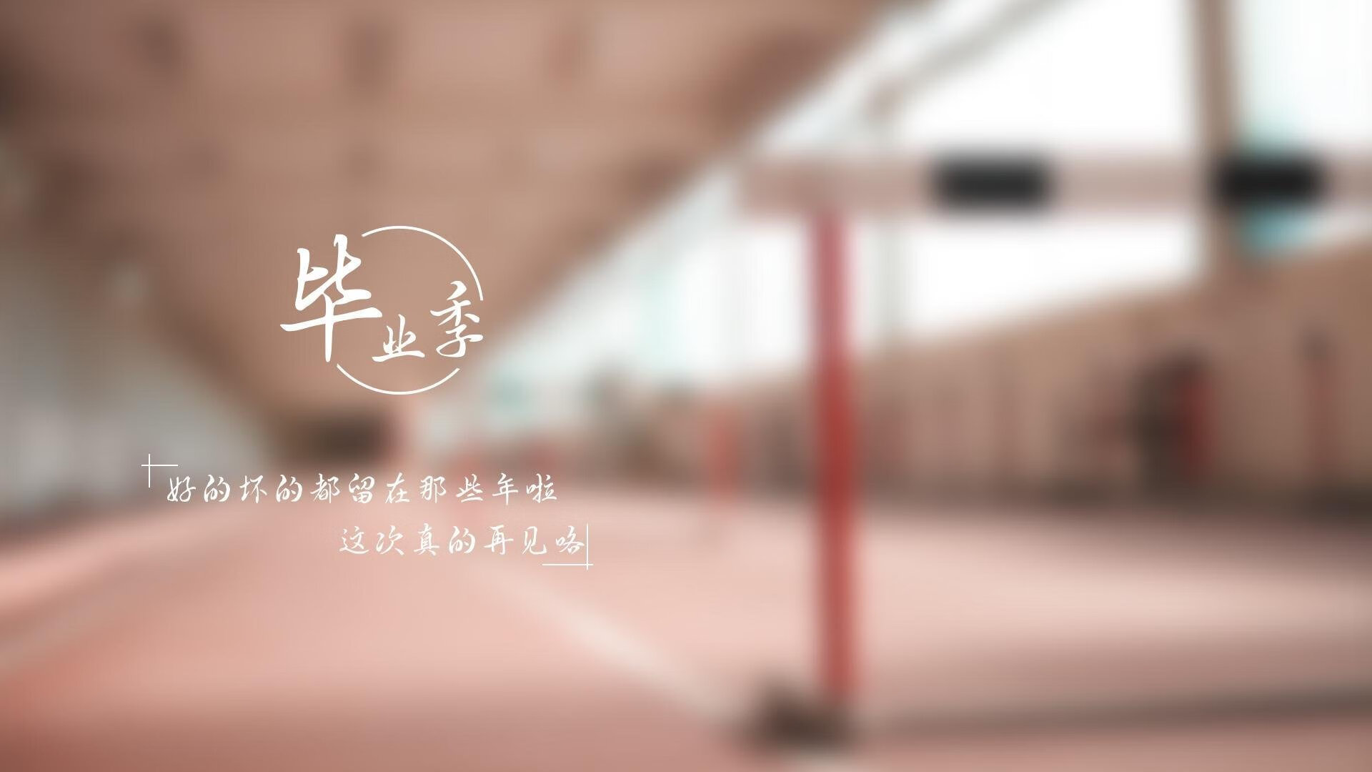 沙漠之巅的独白,2026世界杯B组,厄瓜多尔的悬崖之舞与莫德里奇的时光绝唱