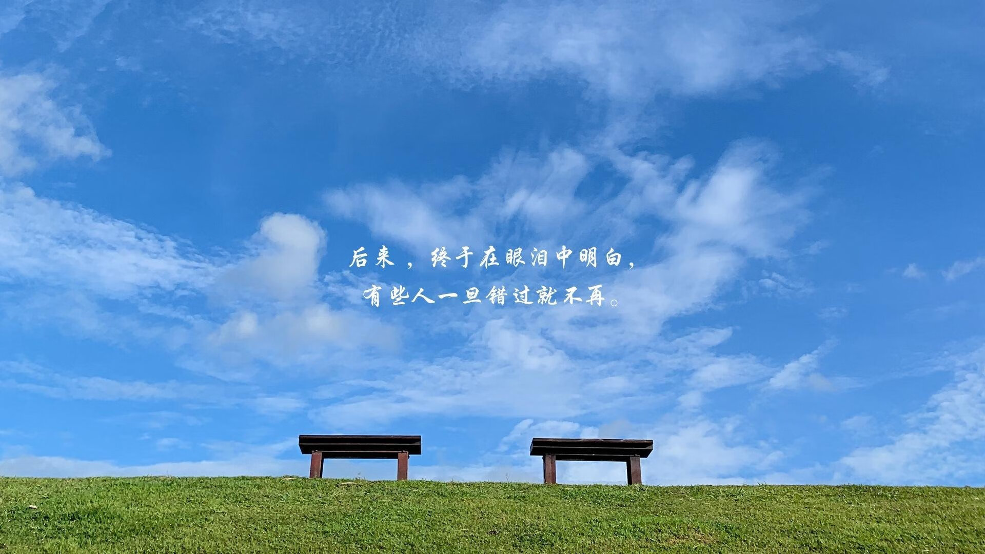 2026,当雄狮撕碎战车,喀麦隆的复仇之夜,与佩德里一个人的华丽独舞