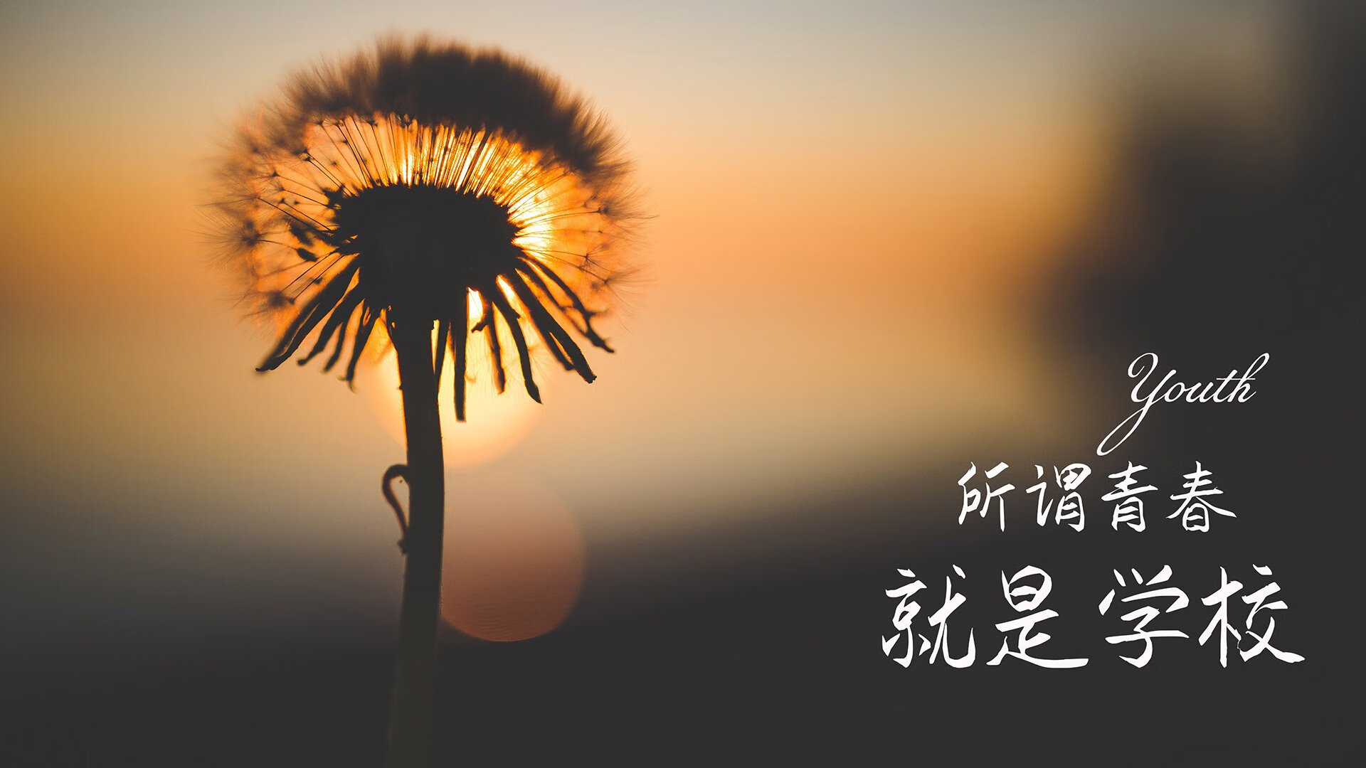 吉鲁独舞,厄瓜多尔完胜罗马尼亚—2026世界杯D组唯一一战写尽传奇与落寞