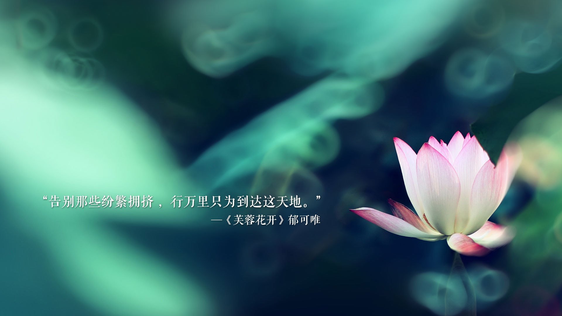 2026世界杯烽烟录,莫德里奇不朽绝唱,伊拉克铁血逆袭墨西哥