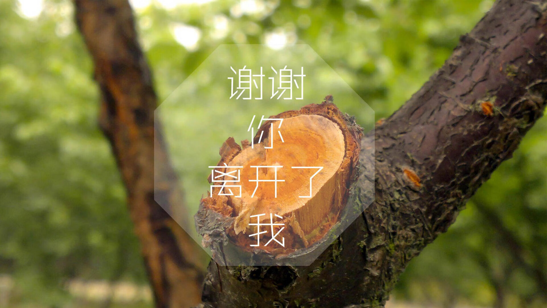 2026世界杯F组惊天冷门,泰国足球的黄金一代击碎比利时,德容独舞成破局关键