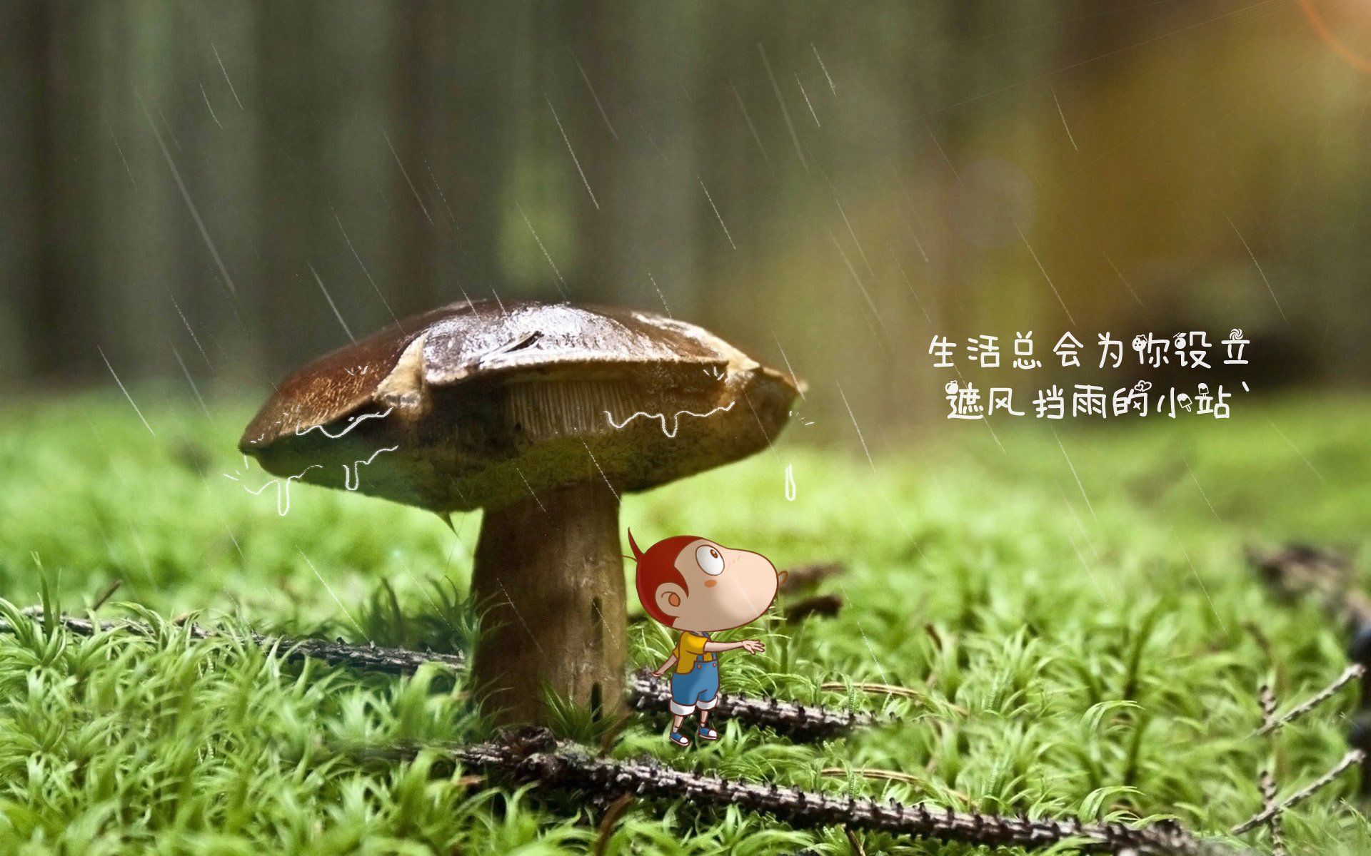 致命一击的轮回,当桑巴舞步碾过太极旗,苏亚雷斯的最后一滴泪落在美加墨