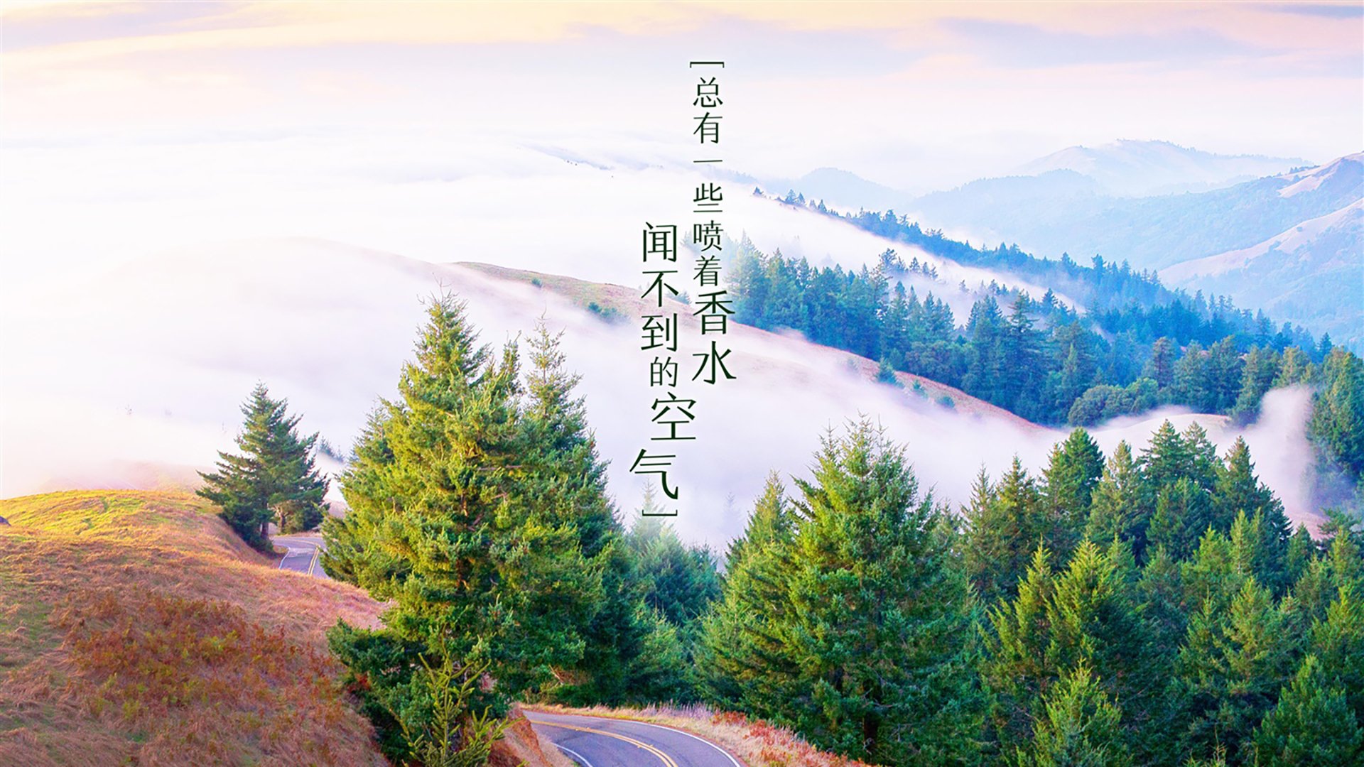 当唯一成为宿命,2026世界杯G组的血腥童话,挪威碾压英格兰,C罗的最后一舞