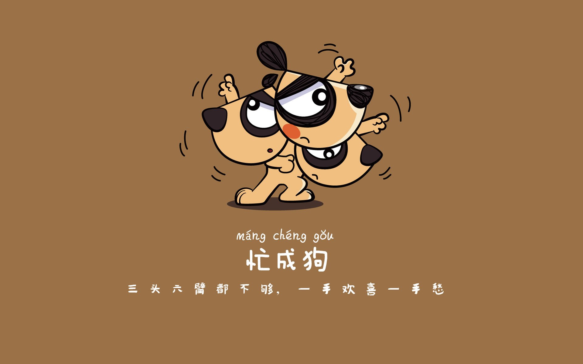 爱游戏官方入口-1.战术视角，从绝望到狂喜，喀麦隆的孤注一掷如何撕碎厄瓜多尔的钢铁防线